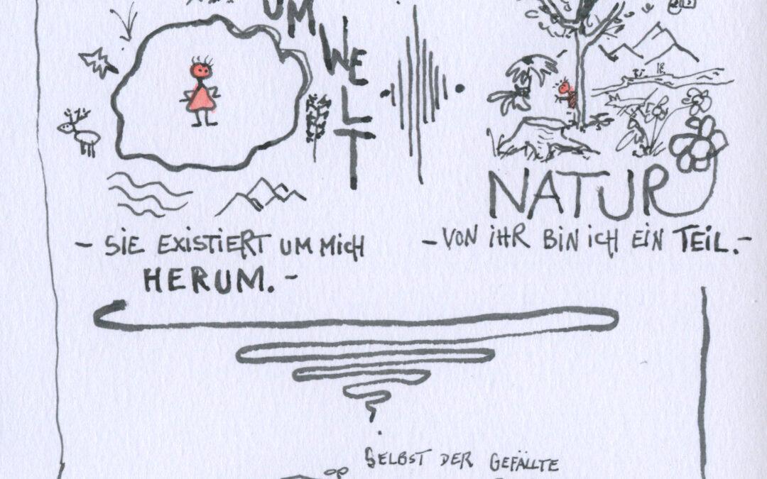 Natur oder Umwelt